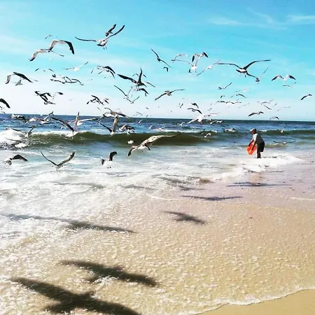 Praia Da A Vista Torreira